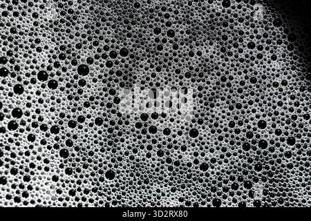 White foam bubbles create fascinating textured surface, appearing clean and refreshing. Multitude of spheres of varying sizes forms visually engaging Stock Photo