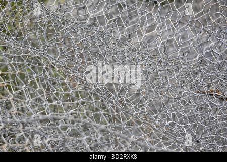 Metallic wire mesh texture forms an intricate grey background pattern, feeling of enclosure Stock Photo