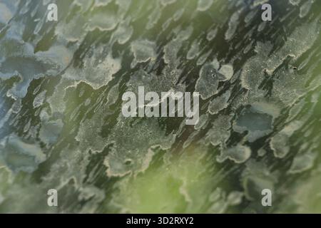 Abstract background of dirty car window with dirt stain texture. neglected, weathered surface shows water spot, mud, and grime from rain storm on glas Stock Photo