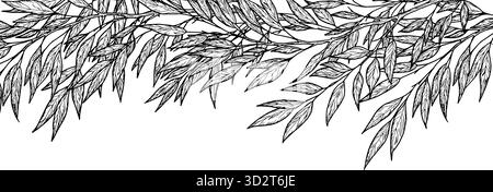 Twigs with elegant thin leaves, seamless horizontal bodice. Vector illustration. Willow or eucalyptus branches, isolated on a white background. For po Stock Vector