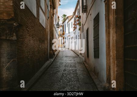 Old town street in Cordoba, Spain, featuring traditional white buildings, charming potted plants, and ancient brick walls Stock Photo