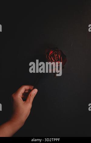 Hand holding dried red rose on dark background Stock Photo