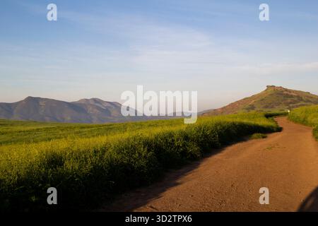 Winding dirt trail through green fields with mountains in distance Stock Photo