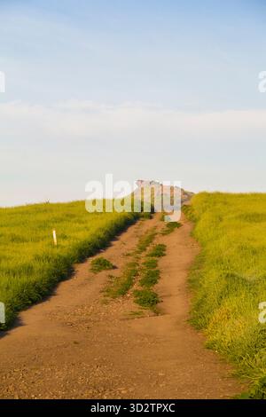 Dirt road leading through green fields toward distant rocky peak Stock Photo