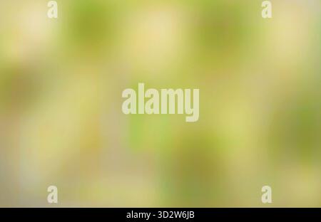Abstract Background. Soft shadows, warm colours in yellow green as background image. Stock Photo