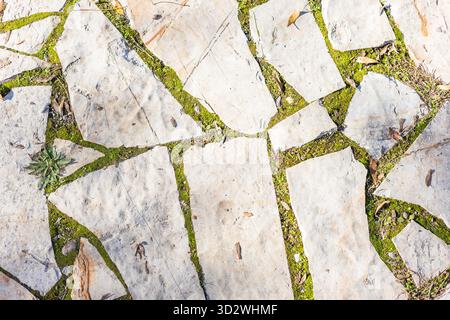Overhead full frame view of an irregular stone paved path with green moss and grass growing between the light grey flagstones. Stock Photo