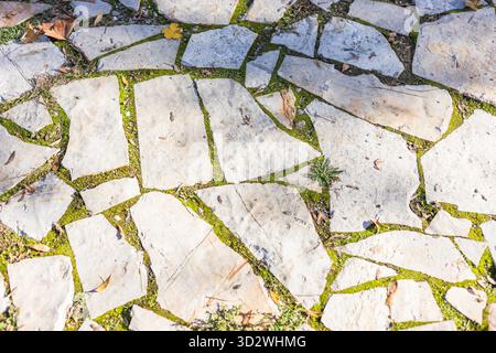 Overhead full frame view of an irregular stone paved path with green moss and grass growing between the light grey flagstones. Stock Photo