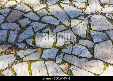 Overhead full frame view of an irregular stone paved path with green moss and grass growing between the light grey flagstones. Stock Photo