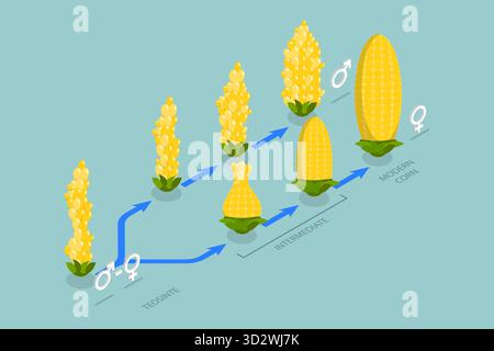 3D Isometric Flat Conceptual Illustration of Artificial Selection, Genetic Engineering 3D Isometric Flat Conceptual Illustration of Artificial Selection, Genetic Engineering Stock Photo