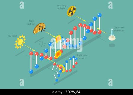 3D Isometric Flat Conceptual Illustration of DNA Damage, Aging Process 3D Isometric Flat Conceptual Illustration of DNA Damage, Aging Process Stock Photo