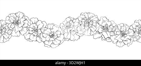Vector Marigold flower head seamless isolated horizontal banner. Monochrome blooming tagetes flowers etching drawing. Floral pattern Stock Vector