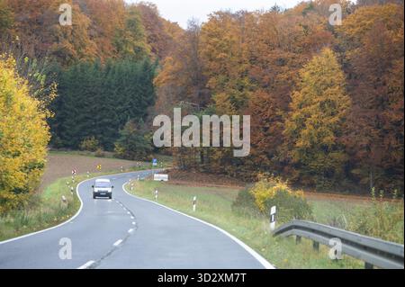 Mixed forest in autumn colors in Franconia on the B2 Nuremberg-Bayreuth, Upper Franconia, Bavaria, Germany Stock Photo