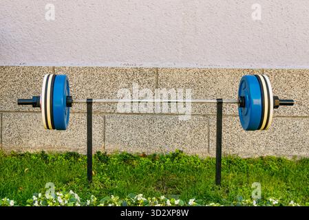A barbell with blue and white plates is placed on a black metal stand outdoors, surrounded by green grass and flowers. The textured stone wall provide Stock Photo