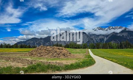 A heap of manure at the farmland in the mountain valley near Innsbruck. In the background is the Alps and blue sky with white clouds. Stock Photo
