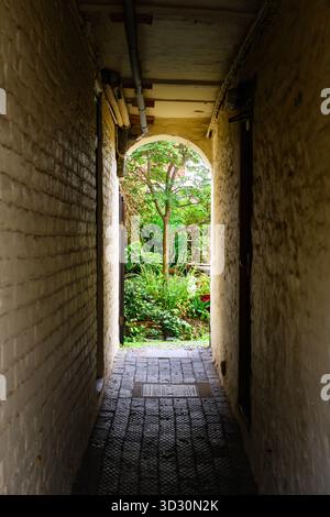 View through a brick passageway to a secret green garden with tree Stock Photo