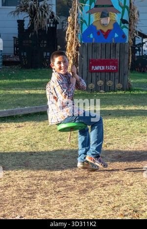 Happy boy takes a ride on a swing hanging from a tree Stock Photo