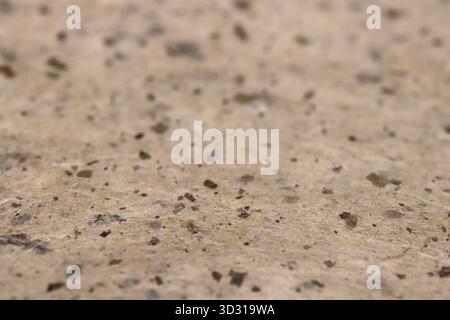 Close-up of textured beige paper texture surface with scattered dark specks. Stock Photo