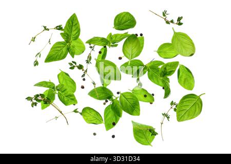 Basil leaves with peppercorns on white background Stock Photo