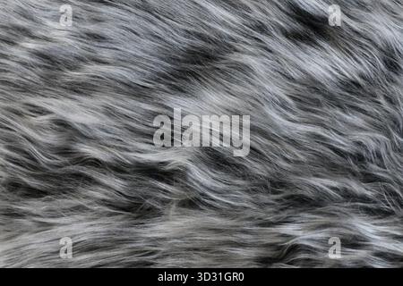 Close up of gray and white synthetic fake fur Stock Photo