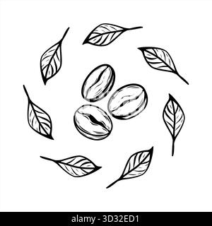 Elegant coffee bean and leaf circle in minimalist line art style. Perfect vector for cafe logo, branding, packaging, labels, and modern decor design. Stock Vector