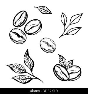 Minimalist coffee bean and leaf line art vector illustration for cafe logo, packaging, branding, and modern design projects. Stock Vector