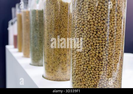 Seeds of grain crops are demonstrated at the agricultural exhibition. Industry Stock Photo