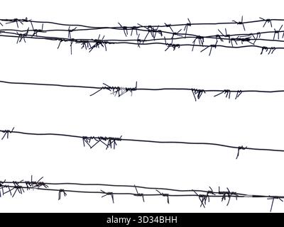Barbed wire on fence isolated on a white background Stock Photo