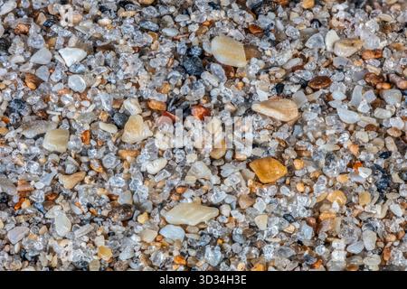 Close-up of beach sand grains collected from Ft. Lauderdale, Florida. The sample shows a diverse mix of mineral and biogenic particles. Stock Photo