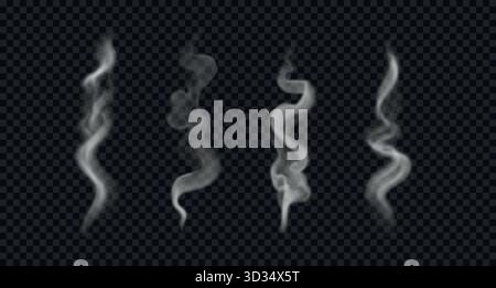 Wavy smoke and steam from hot food or coffee. Different vertical vapor isolated on transparent background Stock Vector