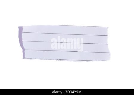 Ruled or lined paper torn edges strips isolated. Piece of yellow torn edges paper ripped isolated on white background. Stock Photo