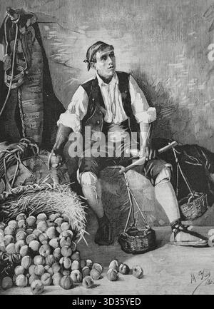 History of Spain, 19th century. Aragonese vendor of peaches. Engraving by Bernardo Rico (1825-1894) after a painting of 1883 by Manuel Yus y Colas (1846-1905). The Spanish and American Illustration (La Ilustracion Espanola y Americana), 1884. Stock Photo