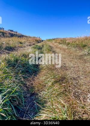 A sunlit dirt trail winds through tall grasses toward a gentle hill, offering an open space setting for outdoor exploration and peaceful hiking under Stock Photo