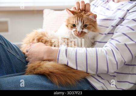 Young woman stroking cute ginger cat on sofa at home Stock Photo