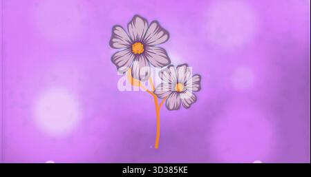 Showing two pale lavender daisy flowers floating against violet-magenta gradient with bokeh spots Stock Photo