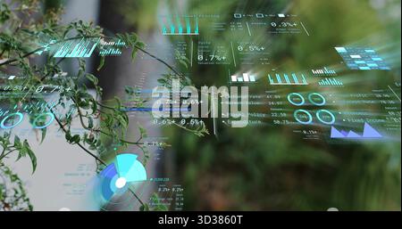 Floating green-leafed branch displaying holographic financial charts in greenhouse, futuristic data Stock Photo
