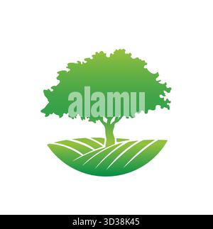 Creative Oak Tree Logo Vector Symbol Design Illustration Stock Vector