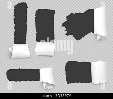 Curled ripped paper, realistic textures Stock Vector Image & Art - Alamy