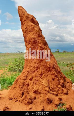 Large termite mounds , close-up. Namibia Stock Photo
