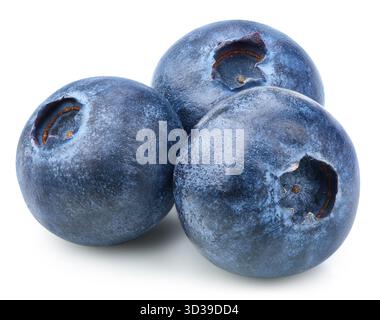 Three blueberry Isolated with clipping path on a white background. Quality photo for your project. Stock Photo