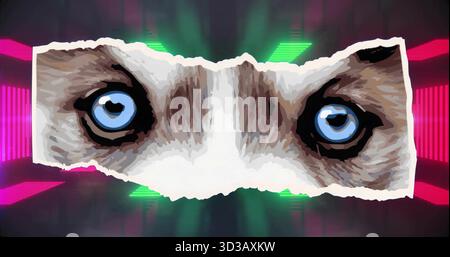 Revealing husky eyes through torn paper effect in neon backdrop, showing pink and green bars Stock Photo