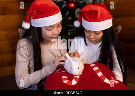 girls wearing Santa hats are gently petting a white rabbit,celebrating Christmas Stock Photo