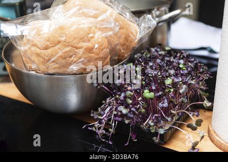 Food, Close-up of packaged bread rolls in a metal bowl next to a tray of vibrant purple microgreens on a kitchen counter Stock Photo