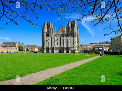 West Front, Wells Cathedral, Wells, Somerset. Stock Photo