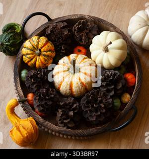 Small pumpkins, gourds and pine cones in a wooden tray for home decorating Stock Photo