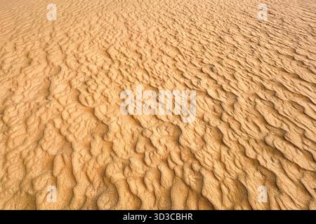 A close-up view of desert sand shaped by wind into natural ripple patterns. The image captures the texture, light, and shadows of the arid landscape, Stock Photo
