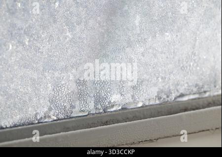 Ice formed on the inside of a house window resulting in moisture damage and mold on window frame. Stock Photo