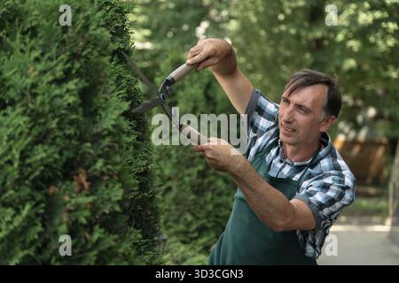 Man pruning tree with clippers. Male farmer cuts branches in spring garden with pruning shears Stock Photo