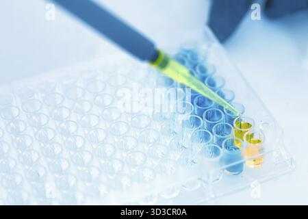 Lab Worker Adding Liquid to Test Tubes in laboratory Stock Photo