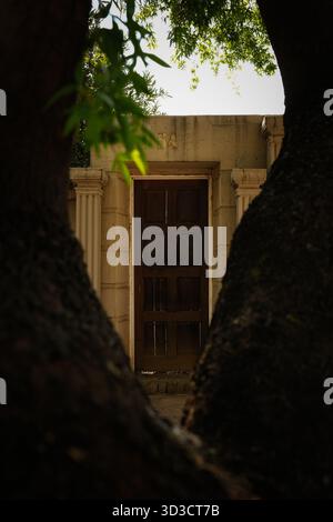 Old Wooden Door Framed by Tree Trunks Stock Photo