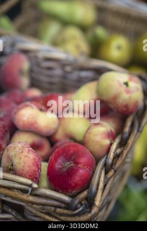 Nectarines and pears in wicker basket on display on a stall at farmers market in Cornwall, Uk Stock Photo